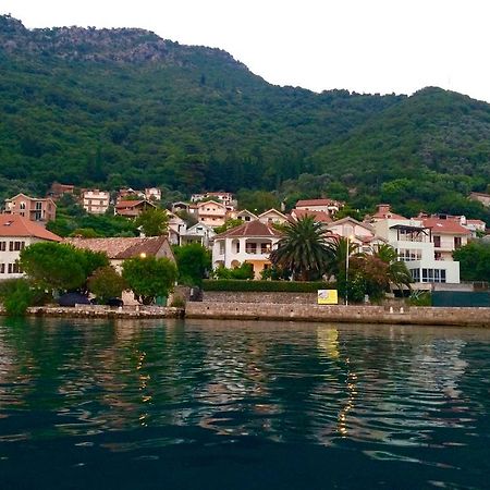 Apartments Oasis Tivat Bagian luar foto